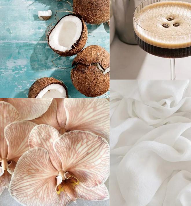 Shop All Wax Melts